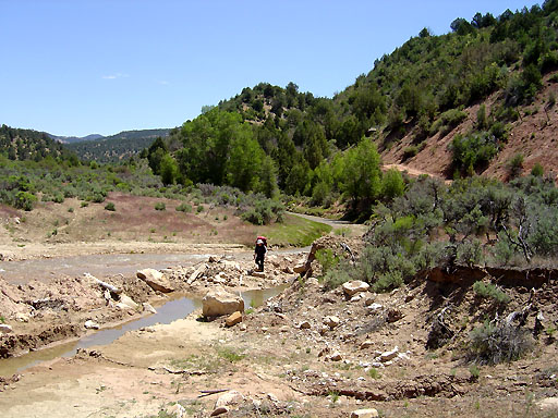 61 - Upper Virgin River