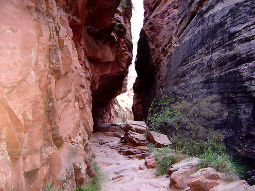 81 - Echo slot canyon