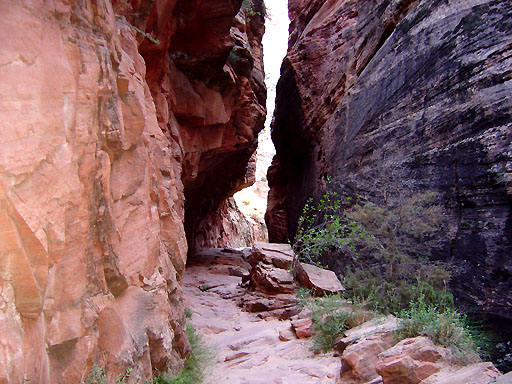 81 - Echo slot canyon