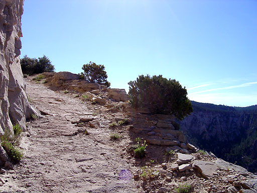 82 - East Rim Trail