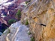 12 - Hidden Canyon Trail