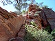 17 - Angels Landing