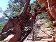 18 - Angels Landing