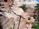 19 - Angels Landing