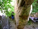 50 - Hidden Canyon Arch