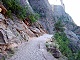 79 - East Rim Trail