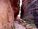 81 - Echo slot canyon